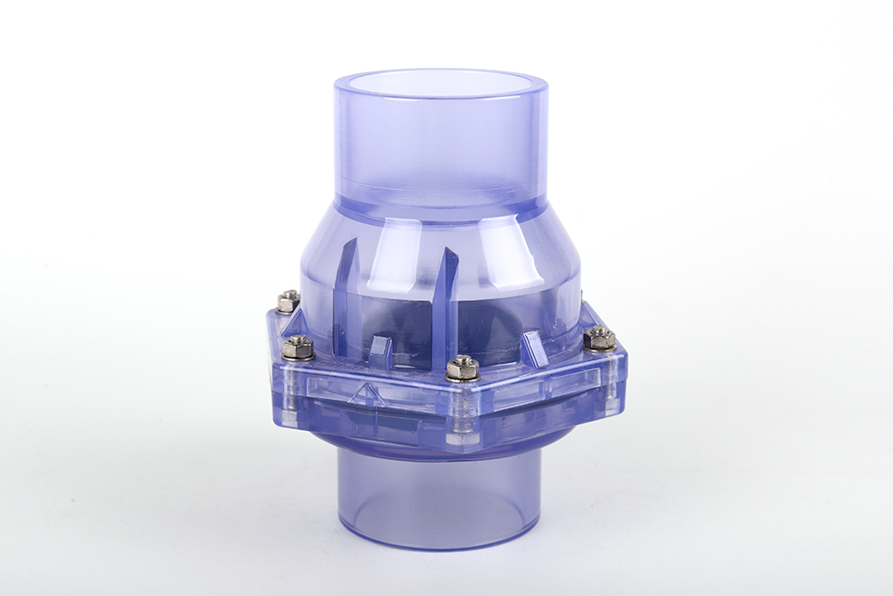 沈丘透明翻板式止回阀